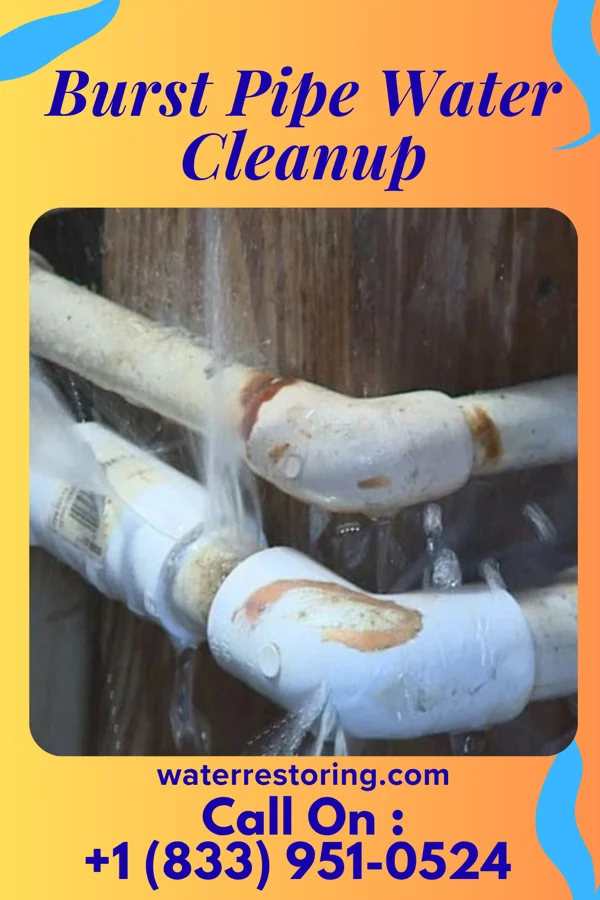 Burst Pipe Water Cleanup in Spartansburg, PA