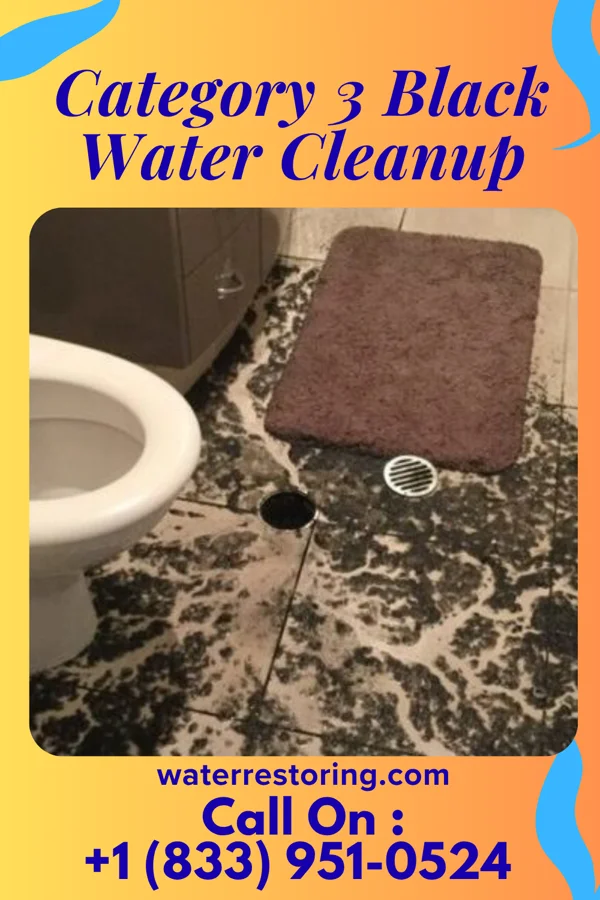 Category 3 Black Water Cleanup in Spartansburg, PA