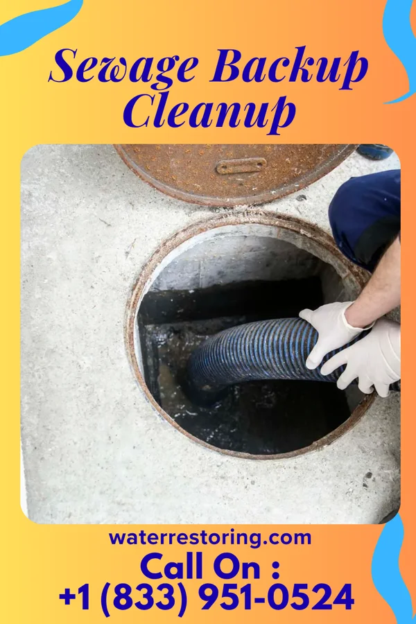 Sewage Backup Cleanup in Spartansburg, PA
